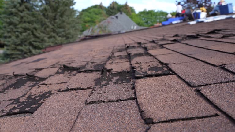 Best Roof Ventilation Installation  in Eau Claire, WI